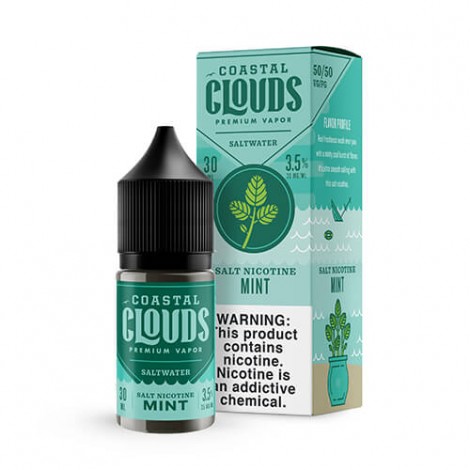 Coastal Clouds Salt - Saltwater Mint